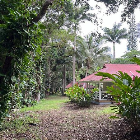 Evasion Bungalow D'Antan Spa Sarraméa Extérieur photo