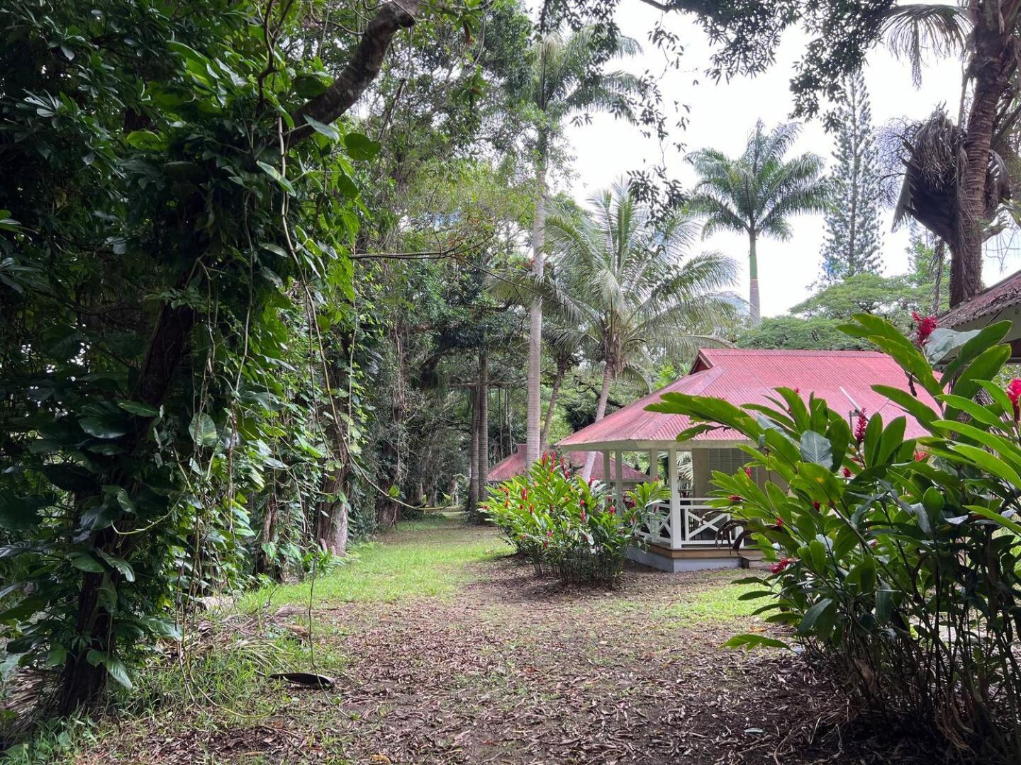 Evasion Bungalow D'Antan Spa Sarraméa Extérieur photo